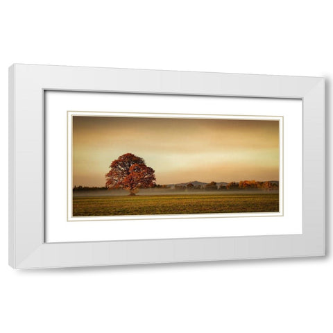 Touched by Fog White Modern Wood Framed Art Print with Double Matting by Schwartz, Don