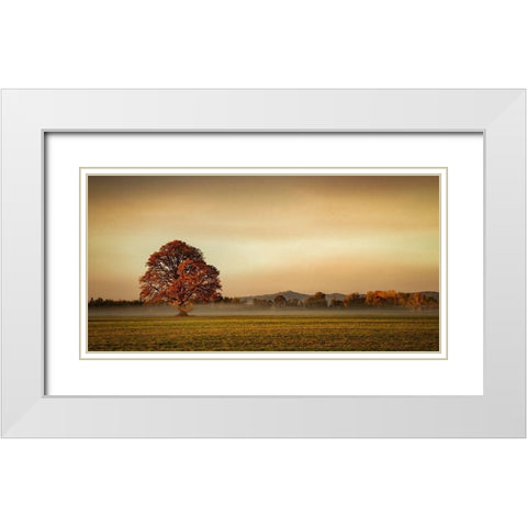 Touched by Fog White Modern Wood Framed Art Print with Double Matting by Schwartz, Don