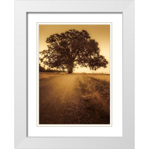 Final Tree White Modern Wood Framed Art Print with Double Matting by Schwartz, Don