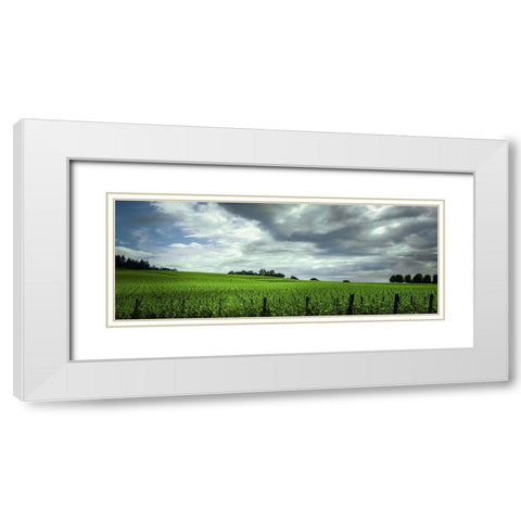 Rolling Vineyard  White Modern Wood Framed Art Print with Double Matting by Schwartz, Don