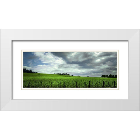 Rolling Vineyard  White Modern Wood Framed Art Print with Double Matting by Schwartz, Don