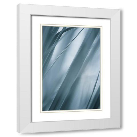 Blades of Grass  White Modern Wood Framed Art Print with Double Matting by Schwartz, Don
