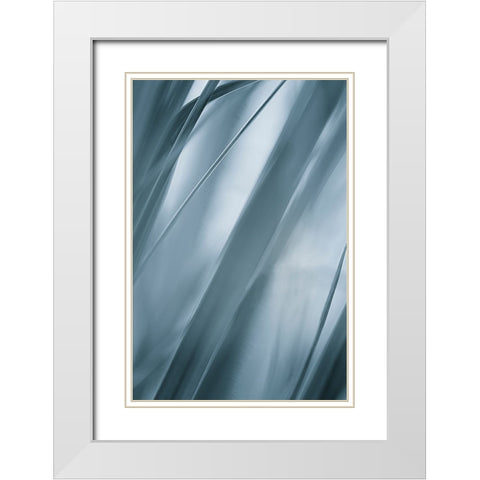Blades of Grass  White Modern Wood Framed Art Print with Double Matting by Schwartz, Don