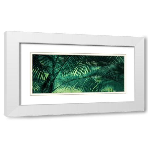 A Sunkissed Palms White Modern Wood Framed Art Print with Double Matting by Schwartz, Don