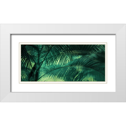 A Sunkissed Palms White Modern Wood Framed Art Print with Double Matting by Schwartz, Don