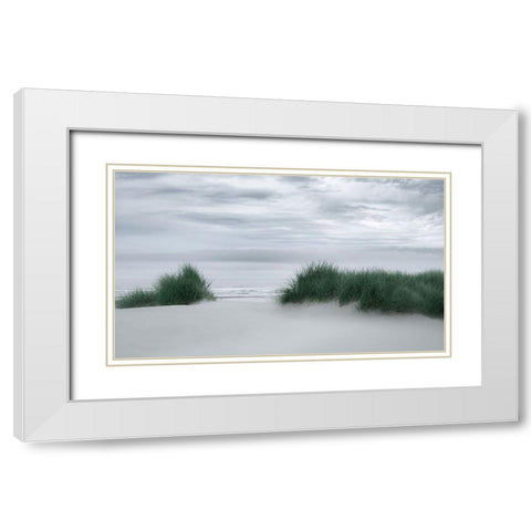 View Through the Dune Grasses White Modern Wood Framed Art Print with Double Matting by Schwartz, Don