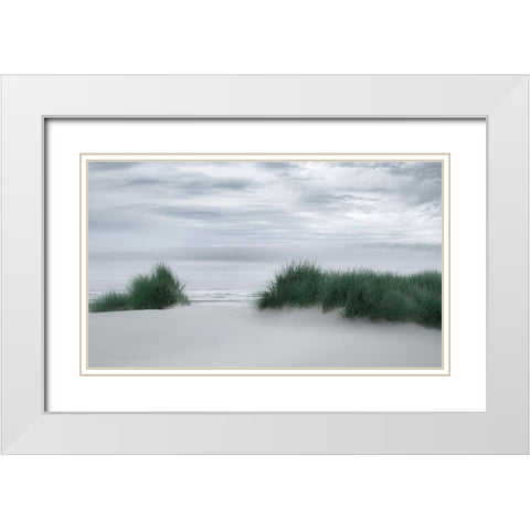 View Through the Dune Grasses White Modern Wood Framed Art Print with Double Matting by Schwartz, Don