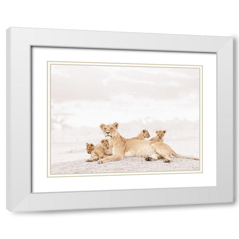 Proud Lioness  White Modern Wood Framed Art Print with Double Matting by Tiedge