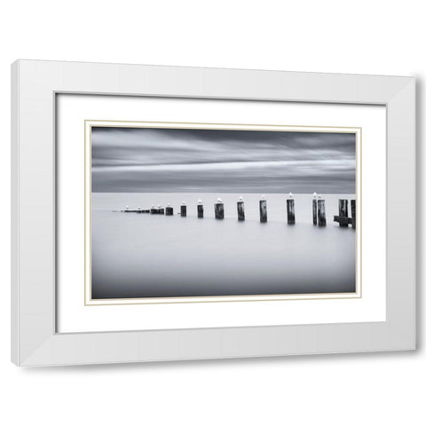 Stilts and Gulls White Modern Wood Framed Art Print with Double Matting by Tennant, Chris