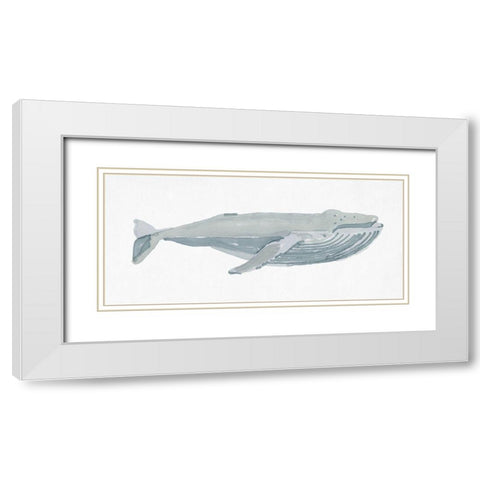 Humpback Whale I White Modern Wood Framed Art Print with Double Matting by Stellar Design Studio