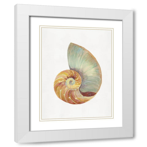 Nautilus Shell I  White Modern Wood Framed Art Print with Double Matting by Stellar  Design Studio