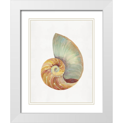 Nautilus Shell I  White Modern Wood Framed Art Print with Double Matting by Stellar  Design Studio