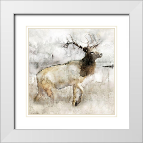 Mountain Elk I White Modern Wood Framed Art Print with Double Matting by Stellar Design Studio