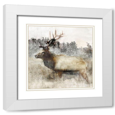 Mountain Elk II White Modern Wood Framed Art Print with Double Matting by Stellar Design Studio