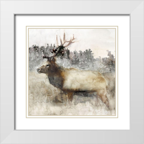 Mountain Elk II White Modern Wood Framed Art Print with Double Matting by Stellar Design Studio