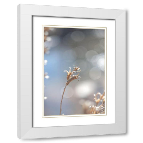 Spring Branch II White Modern Wood Framed Art Print with Double Matting by J:L Design