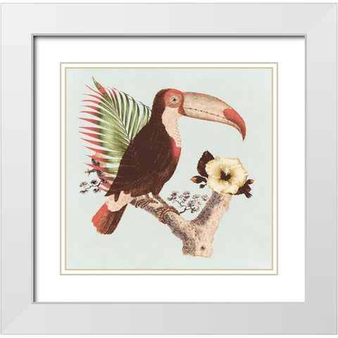Tropical Toucan White Modern Wood Framed Art Print with Double Matting by Surma