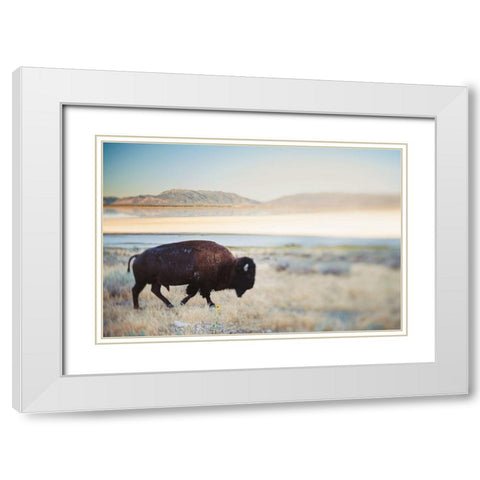 Bison in the Field  White Modern Wood Framed Art Print with Double Matting by Victoria, Chelsea