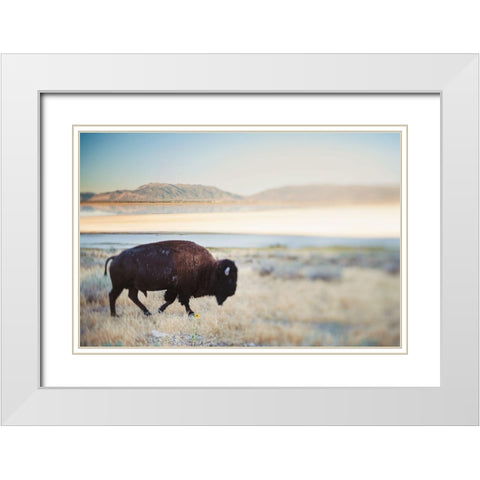 Bison in the Field  White Modern Wood Framed Art Print with Double Matting by Victoria, Chelsea