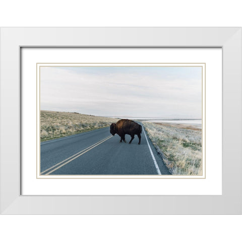 Bison Crossing  White Modern Wood Framed Art Print with Double Matting by Victoria, Chelsea