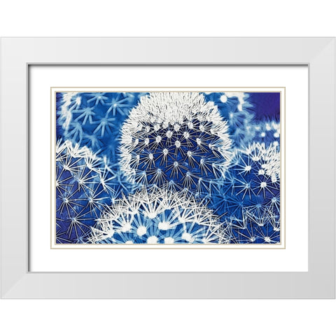 Blue and Prickly I White Modern Wood Framed Art Print with Double Matting by Vincze