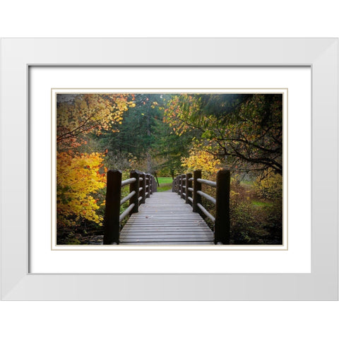 Autumns Bridge  White Modern Wood Framed Art Print with Double Matting by Susan Vizvary Photography