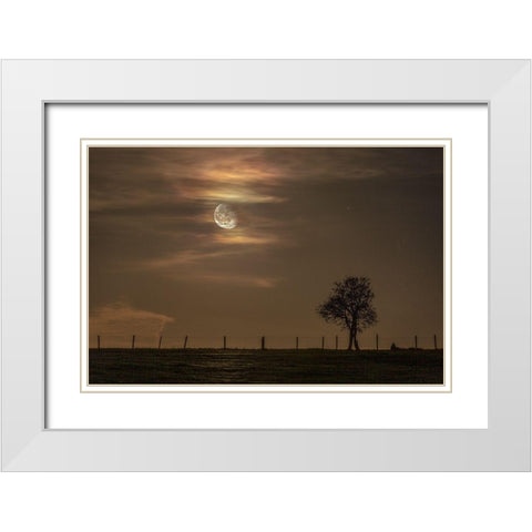 Moon Tree White Modern Wood Framed Art Print with Double Matting by Nocturna