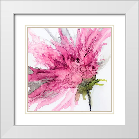 Pink Spider Flower White Modern Wood Framed Art Print with Double Matting by Kroker, Wendy
