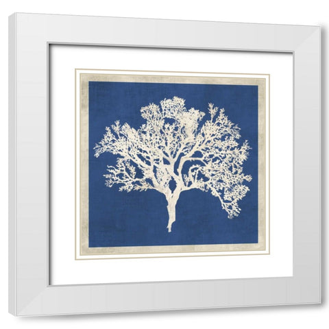 Cobalt Coral II White Modern Wood Framed Art Print with Double Matting by Wilson, Aimee