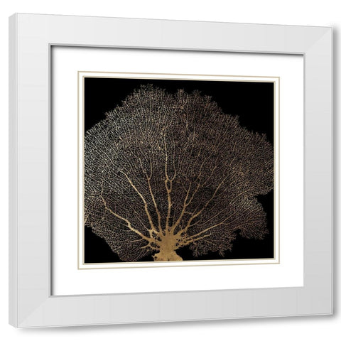 Honey Comb Coral II White Modern Wood Framed Art Print with Double Matting by Wilson, Aimee