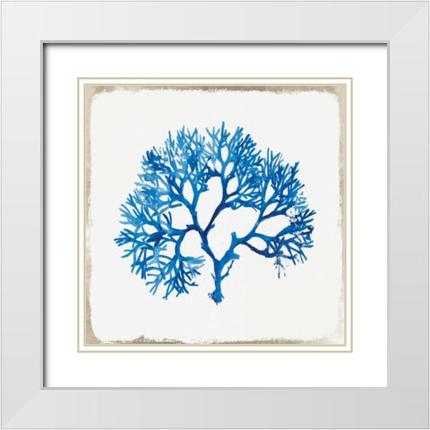 Blue Coral I White Modern Wood Framed Art Print with Double Matting by Wilson, Aimee