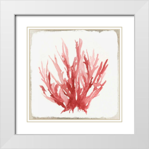 Red Coral I White Modern Wood Framed Art Print with Double Matting by Wilson, Aimee