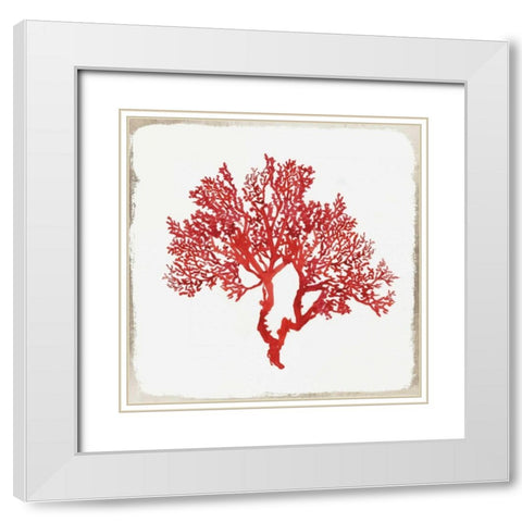 Red Coral II White Modern Wood Framed Art Print with Double Matting by Wilson, Aimee