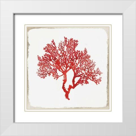 Red Coral II White Modern Wood Framed Art Print with Double Matting by Wilson, Aimee