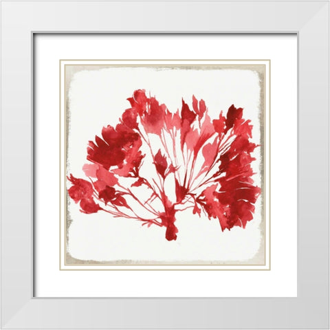 Red Coral IV White Modern Wood Framed Art Print with Double Matting by Wilson, Aimee