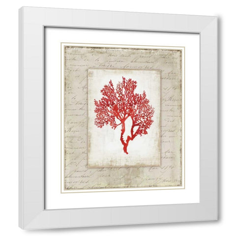 Red Coral II  White Modern Wood Framed Art Print with Double Matting by Wilson, Aimee