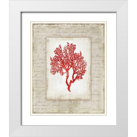 Red Coral II  White Modern Wood Framed Art Print with Double Matting by Wilson, Aimee