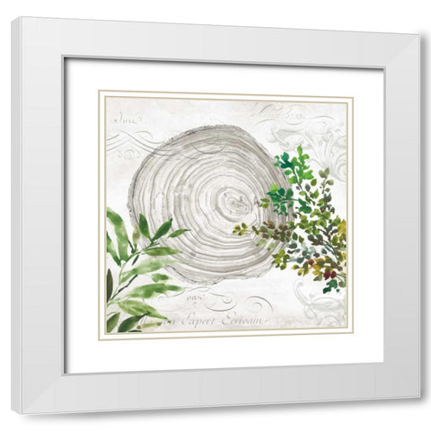 Eco III White Modern Wood Framed Art Print with Double Matting by Wilson, Aimee