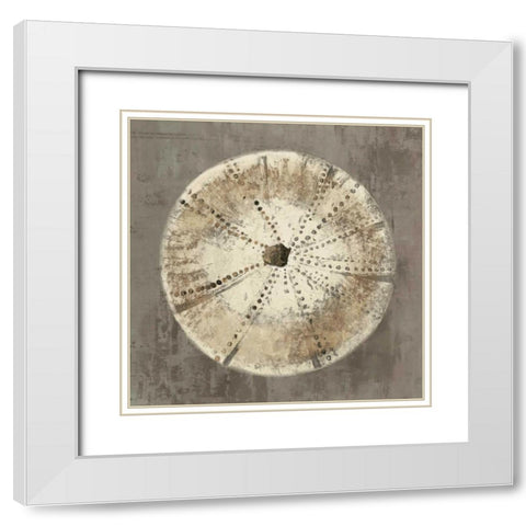 Sand Dollar I White Modern Wood Framed Art Print with Double Matting by Wilson, Aimee