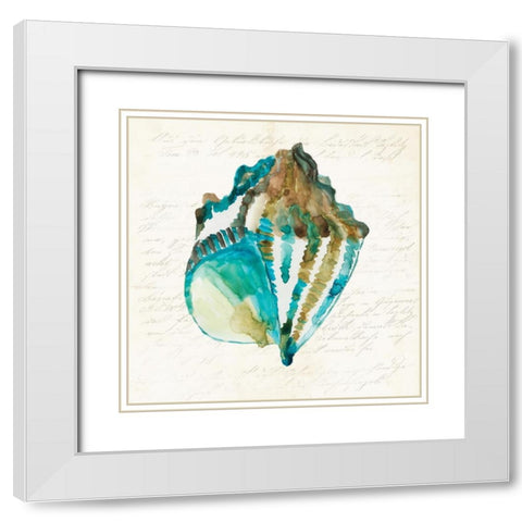 Shell White Modern Wood Framed Art Print with Double Matting by Wilson, Aimee
