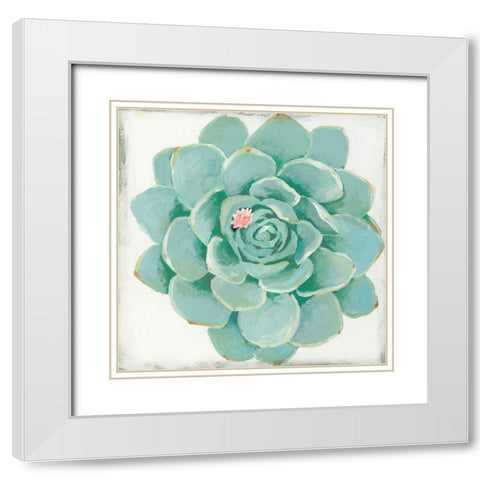 Pastel Succulent I White Modern Wood Framed Art Print with Double Matting by Wilson, Aimee