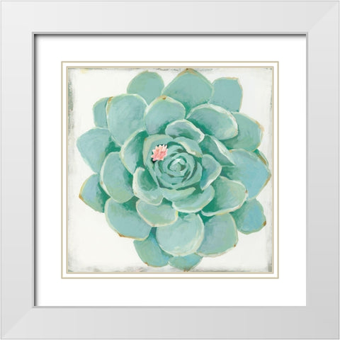 Pastel Succulent I White Modern Wood Framed Art Print with Double Matting by Wilson, Aimee
