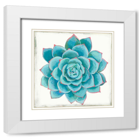 Pastel Succulent II White Modern Wood Framed Art Print with Double Matting by Wilson, Aimee