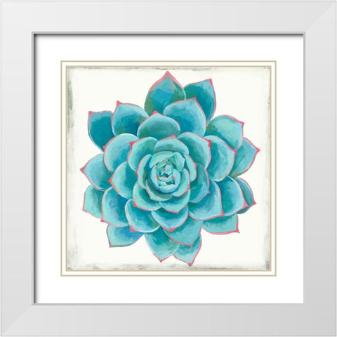 Pastel Succulent II White Modern Wood Framed Art Print with Double Matting by Wilson, Aimee