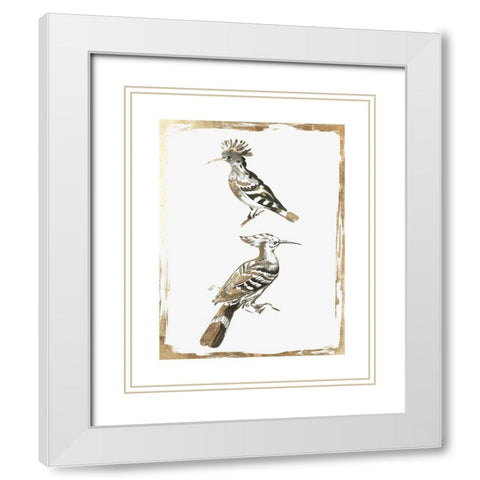 Perched Birds  White Modern Wood Framed Art Print with Double Matting by Wilson, Aimee