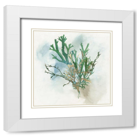 Green Coral I  White Modern Wood Framed Art Print with Double Matting by Wilson, Aimee