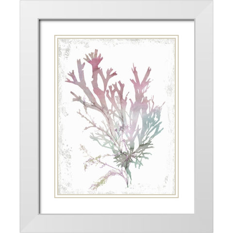 Pink Coral  White Modern Wood Framed Art Print with Double Matting by Wilson, Aimee