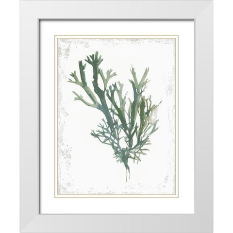 Emerald Coral I  White Modern Wood Framed Art Print with Double Matting by Wilson, Aimee