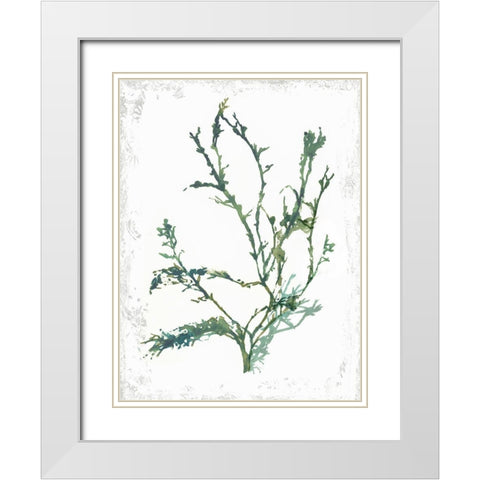 Emerald Coral IV White Modern Wood Framed Art Print with Double Matting by Wilson, Aimee