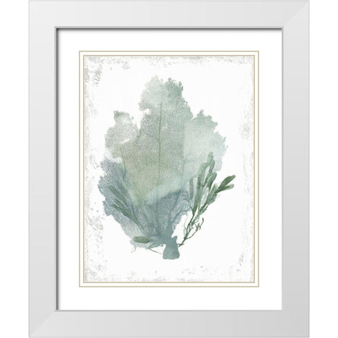 Teal Delicate Coral I  White Modern Wood Framed Art Print with Double Matting by Wilson, Aimee